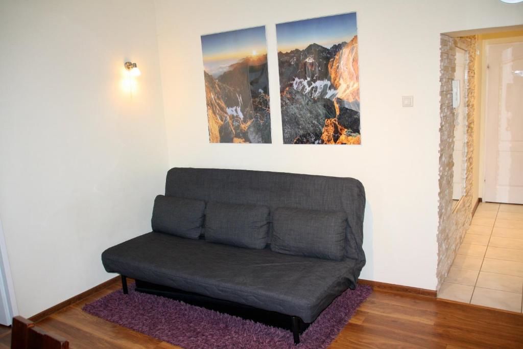 Апартаменты Apartament Kasztanowy Centrum Закопане-40