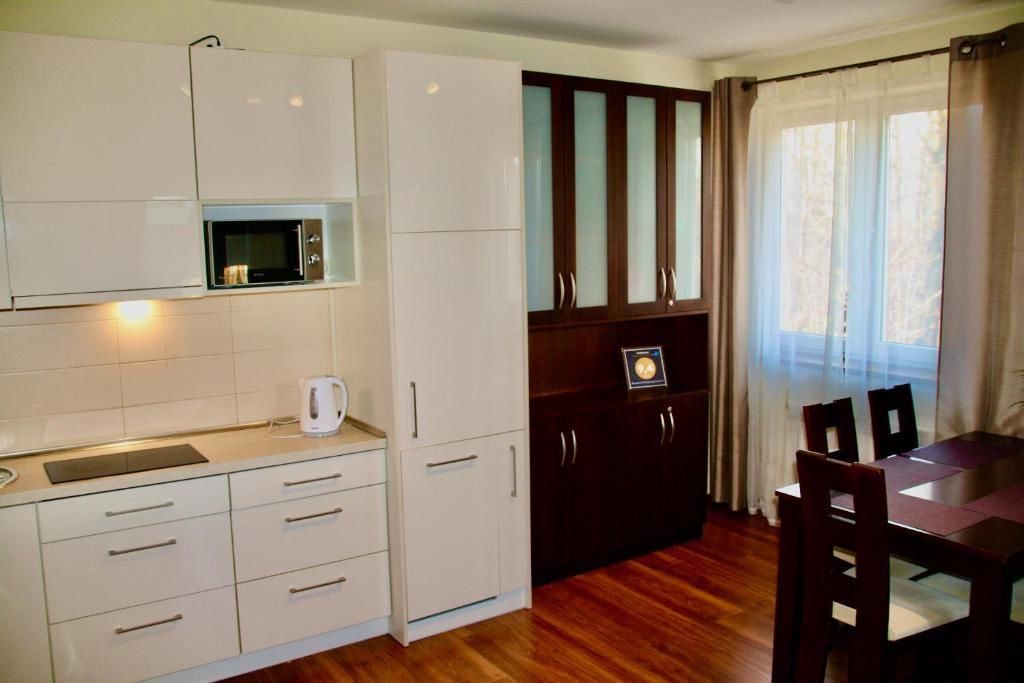 Апартаменты Apartament Kasztanowy Centrum Закопане-50